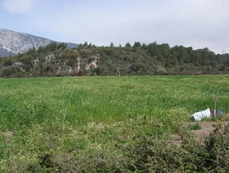 Akyaka Gökçede Satılık Arazi Denize Yakın Çiftlik İçin 21625M2 Satılık Tarla Yatırımlık Satılık Ars