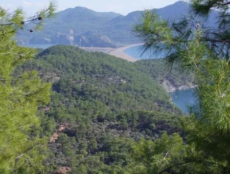 Ekincik Çandır Arasın'da Deniz Manzaralı Kelepir Emlak Satılık Arsa