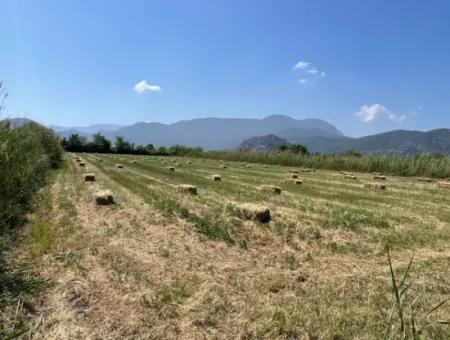 Dalyan'da İztuzu Yoluna Sıfır 6,500M2 Satılık Tarla