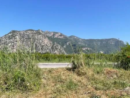 Dalyan'da İztuzu Yoluna Sıfır 6,500M2 Satılık Tarla