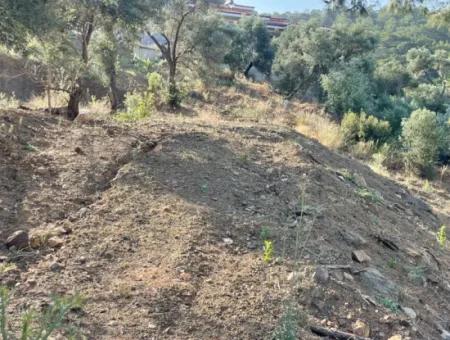 Sarıgerme'de Full Deniz Manzaralı 425M2 Satılık Arsa